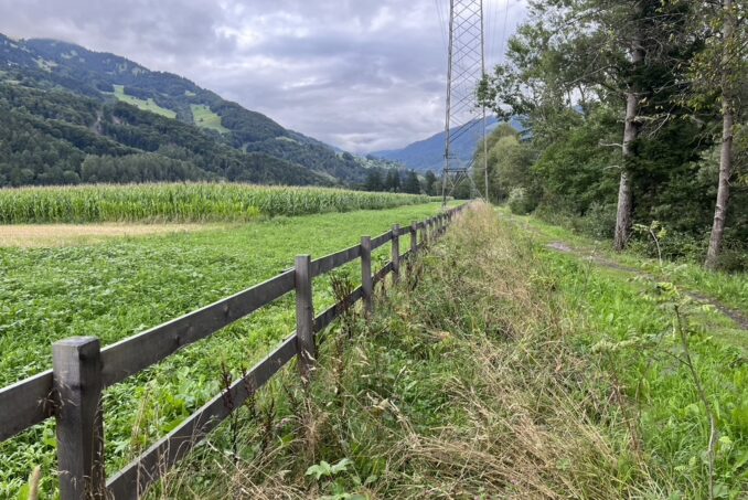 Entlang der Landquart trennt ein neu errichteter Holzzaun den Fussweg vom Landwirtschaftsgebiet.
