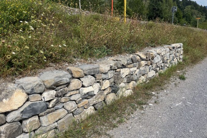 Die Stützmauer ist zugleich Lebensraum für diverse Kleintiere.