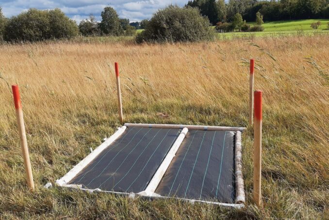 Zur Saatvorbereitung wurden die Versuchsflächen mit Folien abgedeckt.