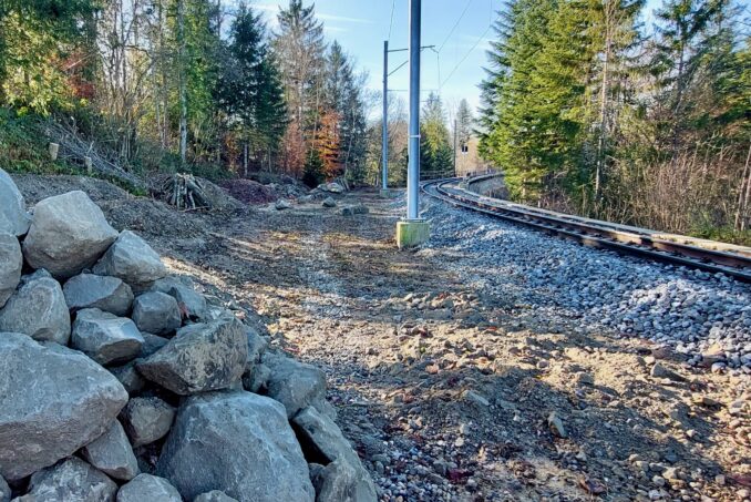 Entlang der Bahnstrecke wurden Strukturen für Reptilien und Kleinsäugetiere angelegt.