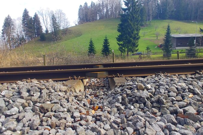 Neu erstellte Amphibienleitbleche führen die Tiere zum Durchgang, um die Wanderung zum Laichgebiet zu erleichtern.