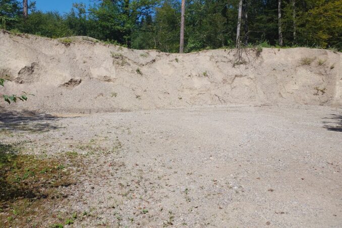 Grubenbiotop: Ehemalige Abbaugebiete bieten heute Lebensraum für spezialisierte Tierarten.