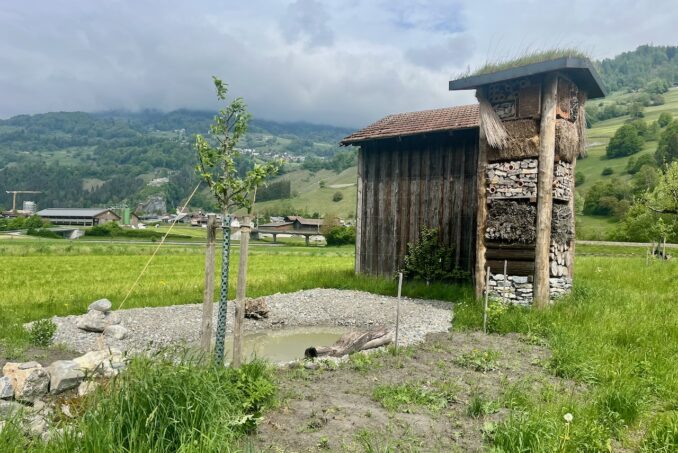 «Lebensturm» mit Biotop, neu gepflanzte Hochstammobstbäume sowie ein Spalier.