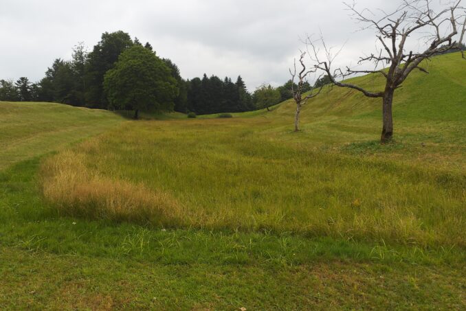 Flachmoor in Muldenlage mit wertvollem Totholz.