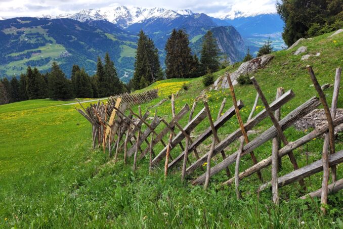Schrägzäune sind landschaftsprägende Kulturgüter und sollen erhalten bleiben.