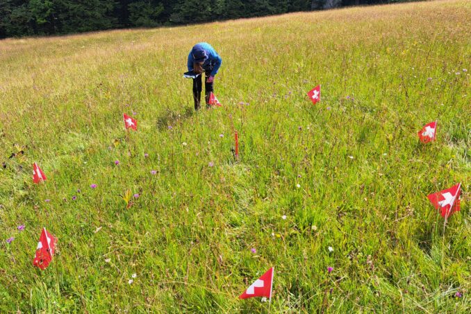 Durchführung einer vollständigen Vegetationsaufnahme nach der Methode «Wirkungskontrolle Biotopschutz Schweiz».