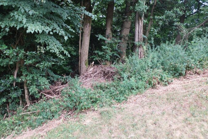 Es sollen weitere Stein- und Asthaufen ergänz werden.