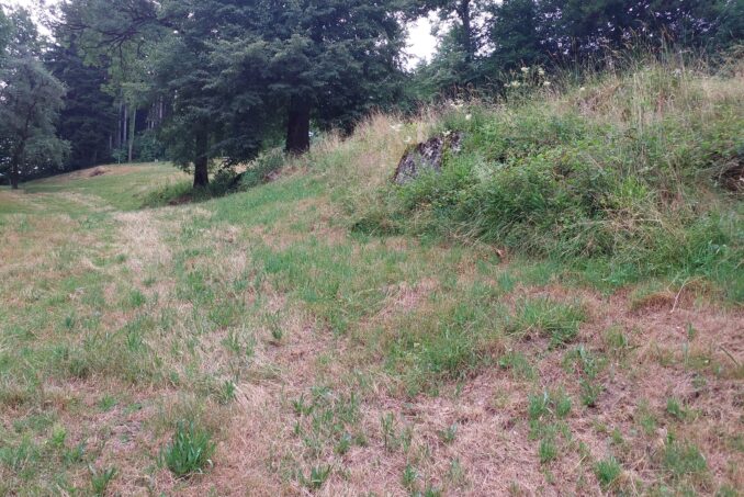 Durch eine Änderung des Schnittregimes soll das Blütenangebot für Insekten gefördert werden.