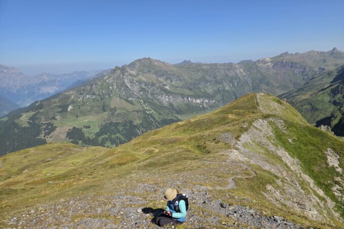 Pflanzenerhebung auf 2400 Meter über Meer auf dem Schmidstöck.
