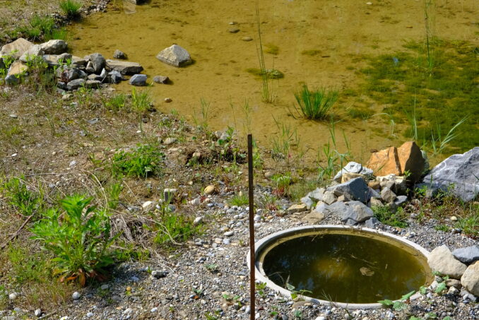 Für die Gelbbauchunke wurden Kleingewässer angelegt und Betonröhren eingebaut.
