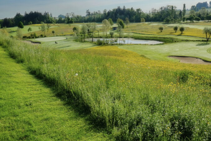 Das Lebensraummosaik im Golfpark wird dominiert von extensiv genutzten Wiesen, Gehölzen und Gewässern.
