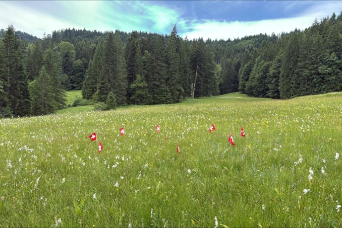 Für die Vegetationsaufnahmen wurde jeweils eine runde Fläche von zehn Quadratmeter abgesteckt.
