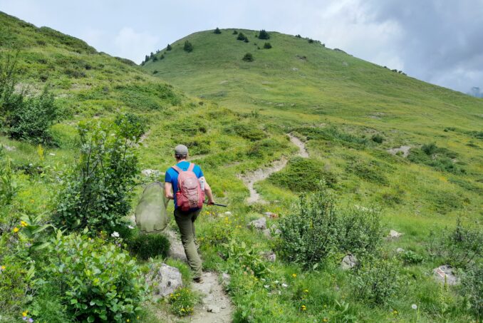 Mit einem Fangnetz werden die Tagfalter zur Bestimmung gefangen und danach wieder freigelassen.