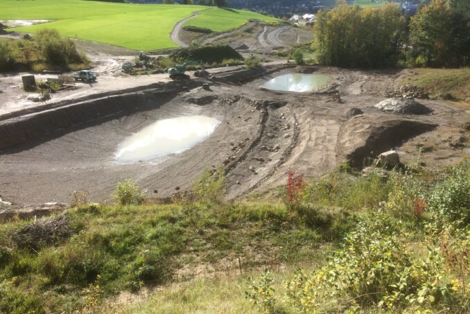 Für Kreuzkröte (Epidalea calamita), Gelbbauchunke (Bombina variegata) und Laubfrosch (Hyla arborea) wurden ablassbare Betonweiher angelegt.