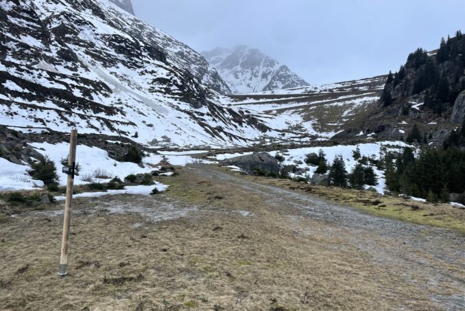 Zur akustischen Erfassung von Hühnervögeln wurden im Bereich des Staudamms Akustik‑Logger installiert.