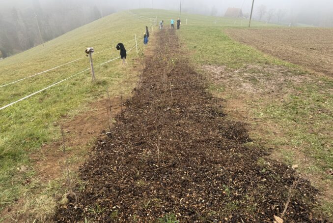 Im Auftrag der Gemeinde initiieren wir Aufwertungsprojekte und begleiten diese in der Umsetzung.