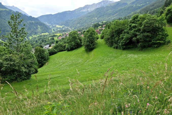 Strukturreiche Landschaften mit Hecken sollen gefördert und erhalten werden.