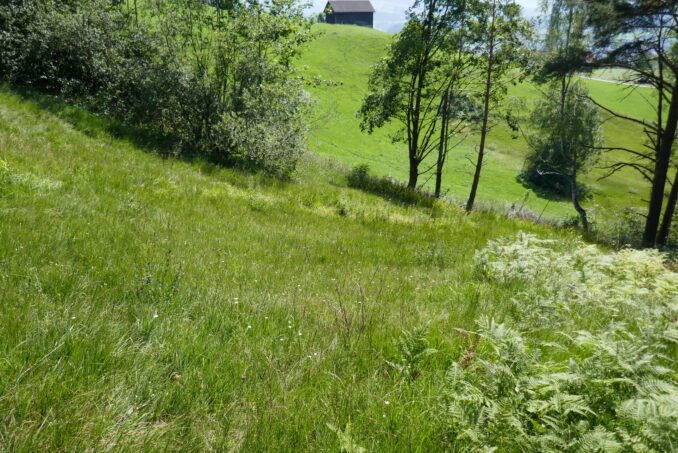 Für verkrautende Objekte wurden mögliche Massnahmen zur Erhaltung der Flächen formuliert.