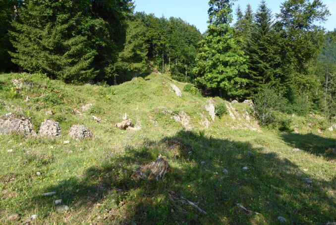 ... besonders strukturreiche Spezialstandorte.