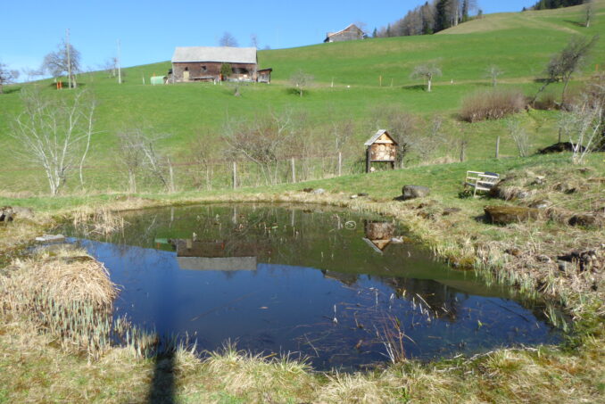 … Amphibienlaichgewässer, …