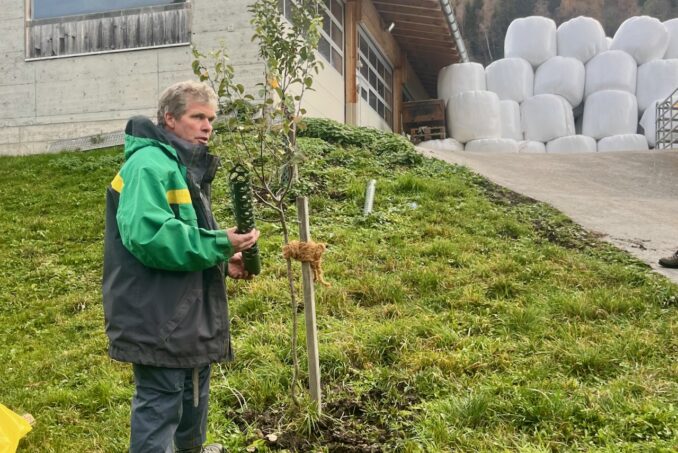 Kursleiter Martin Fehr betont die Wichtigkeit von Pflegschnitt und Frassschutz bei Jungbäumen.