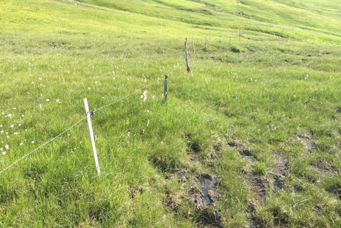 Eine gut überlegte Zaunführung ist essenziell zum Schutz von besonders sensiblen Lebensräumen wie Flachmooren.