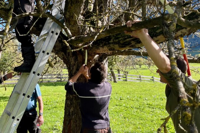 Nach einem theoretischen Input legen die Kursteilnehmenden selber Hand an.